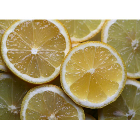 luminaire citron