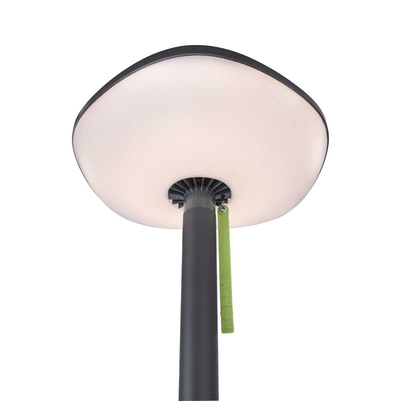 Lampadaire Solaire Extérieur 4 Voies LED RGB - Hauteur Réglable, USB, étanche IP65