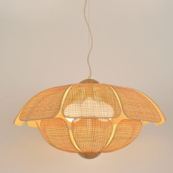 Suspension coquillage design