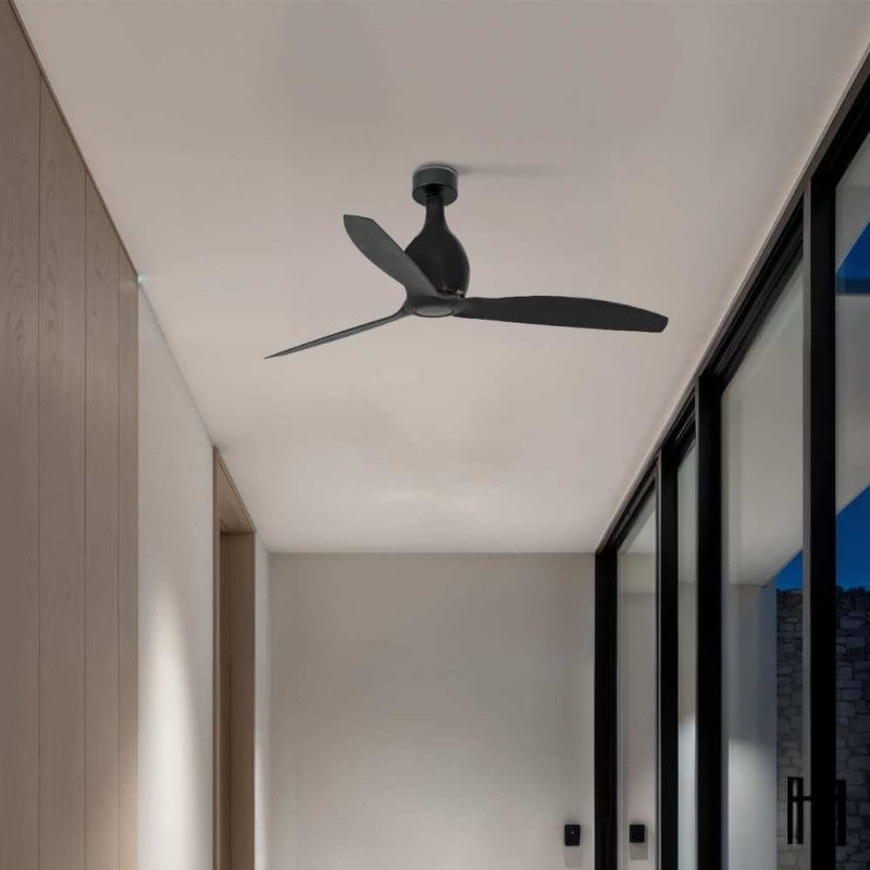 Ventilateur noir de plafond