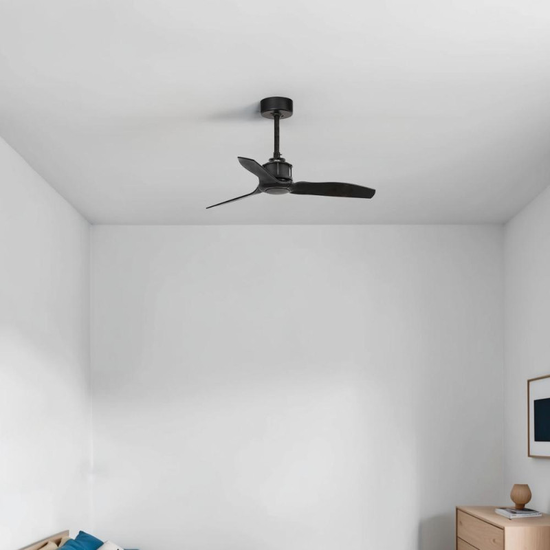ventilateur de plafond noir