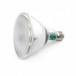 Ampoule E27 par 38 LED