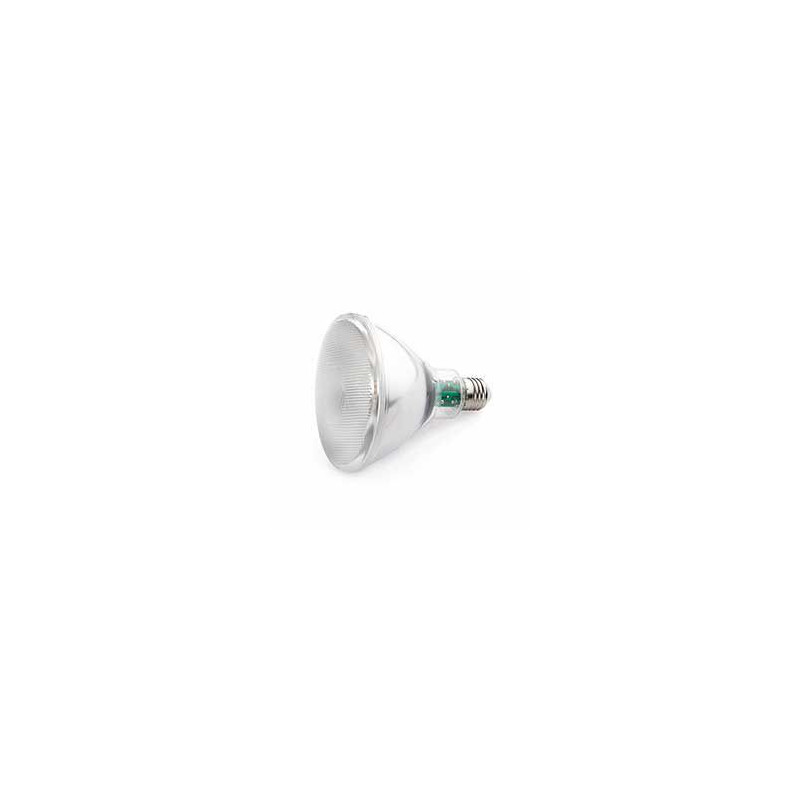 Ampoule E27 par 38 LED
